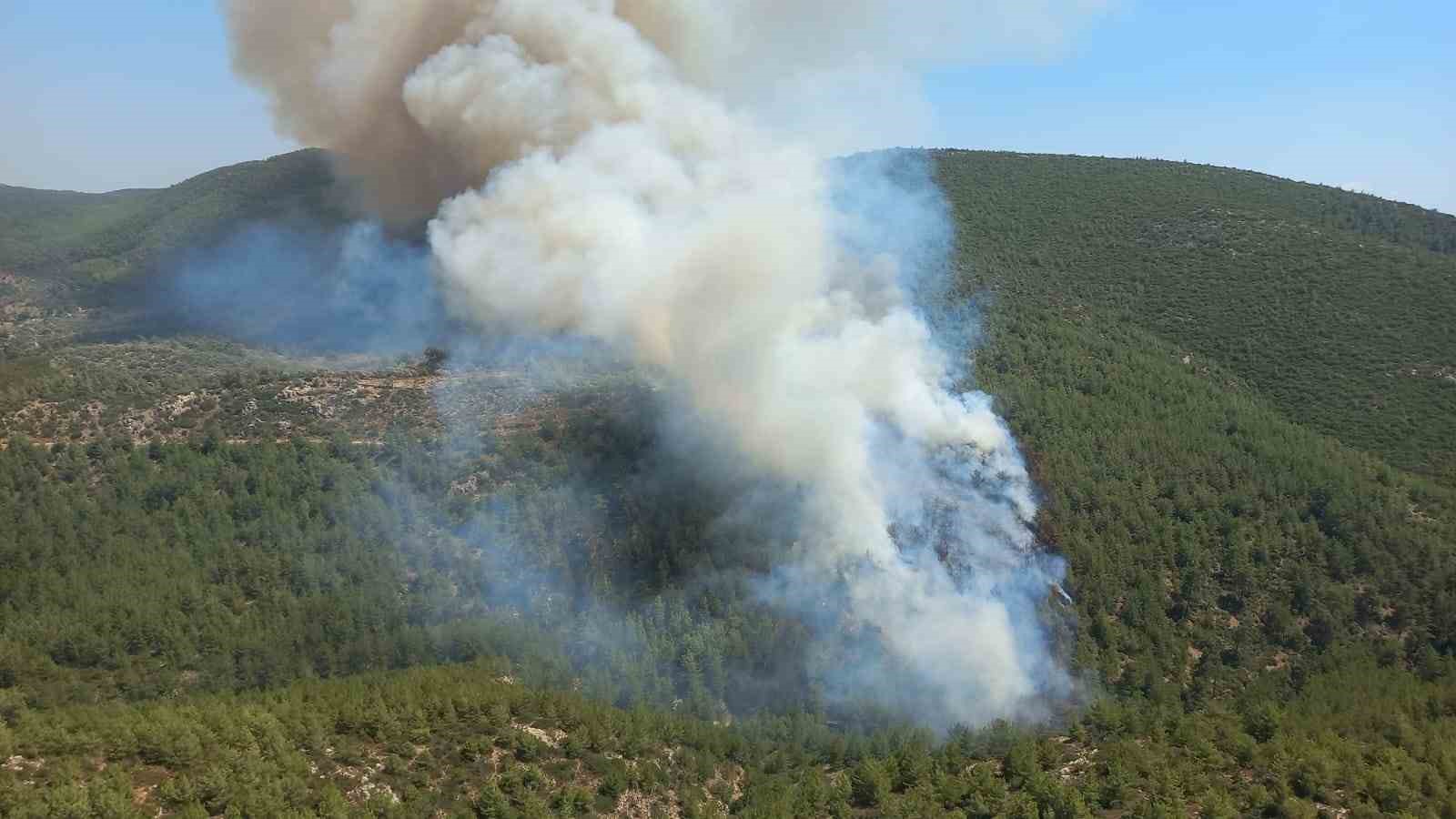 Bodrum’daki orman yangınına havadan ve karadan müdahale devam ediyor
