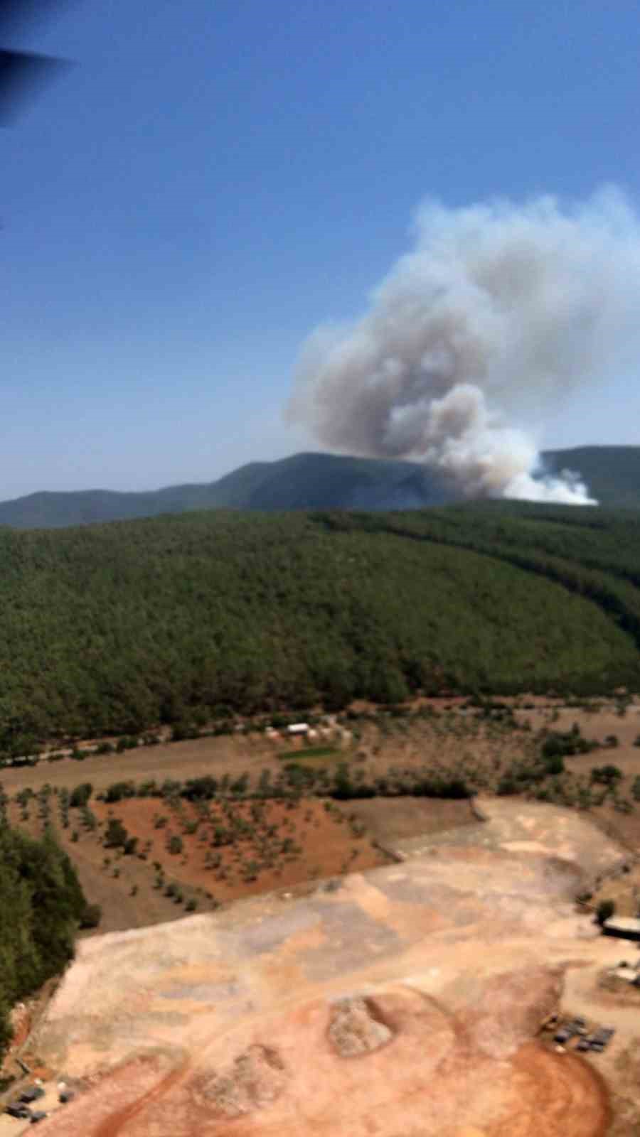 Bodrum’daki orman yangınına havadan ve karadan müdahale devam ediyor
