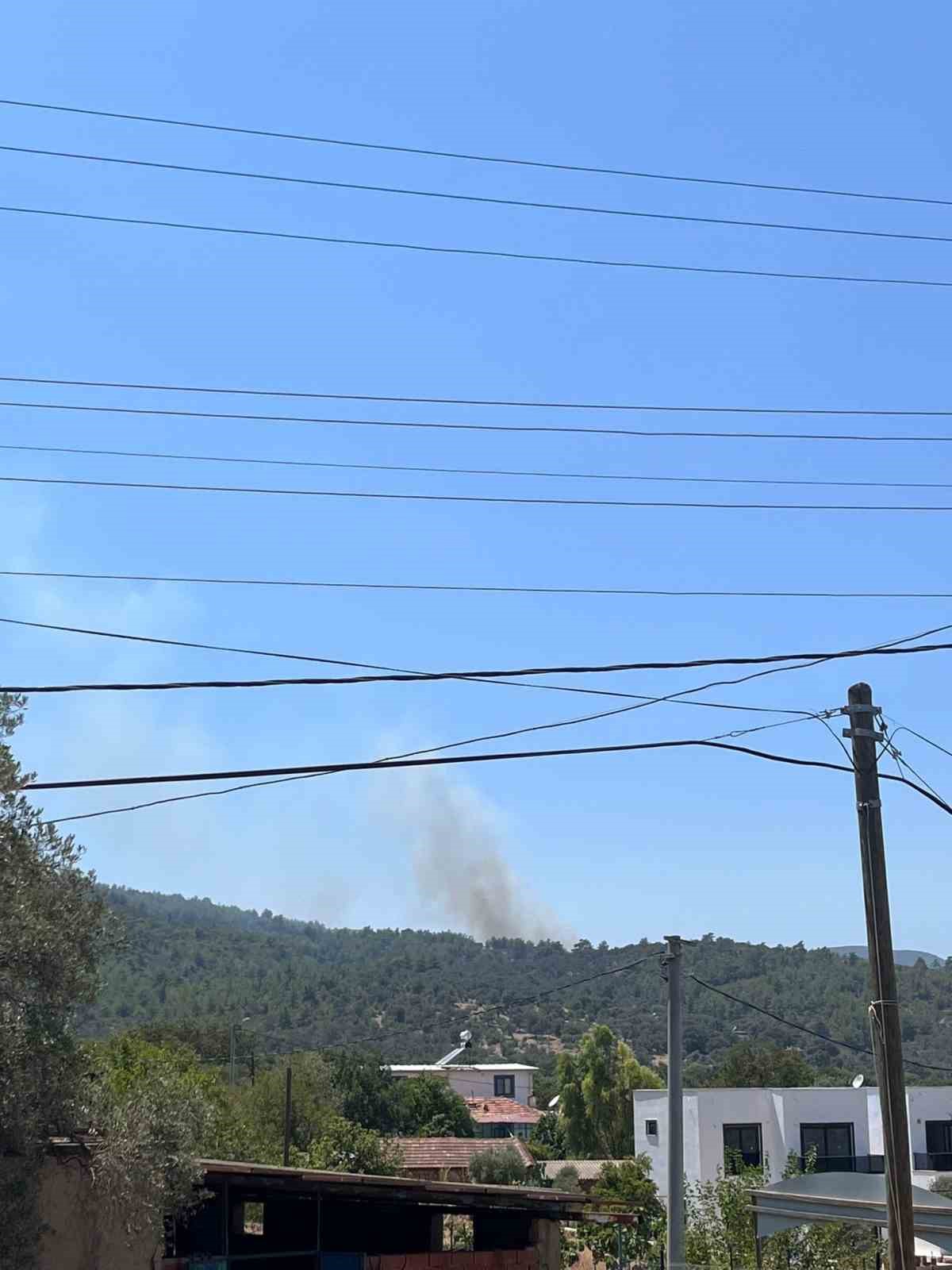 Bodrum’daki orman yangınına havadan ve karadan müdahale devam ediyor
