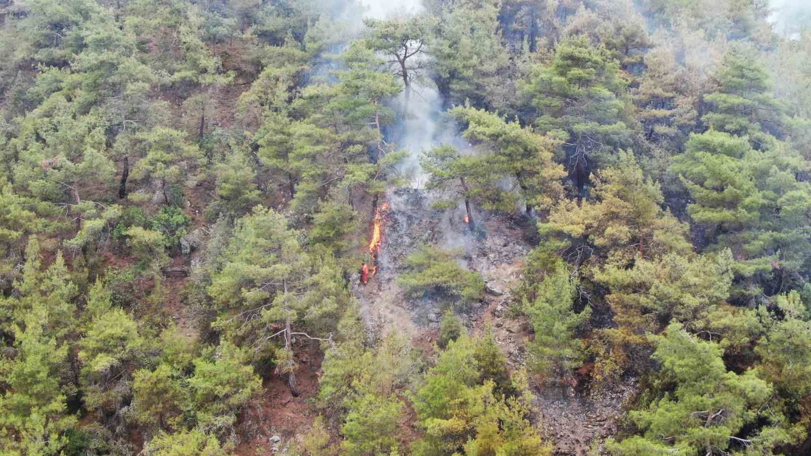 Ormanlık alandaki yangın 4 saatte kontrol altına alındı
