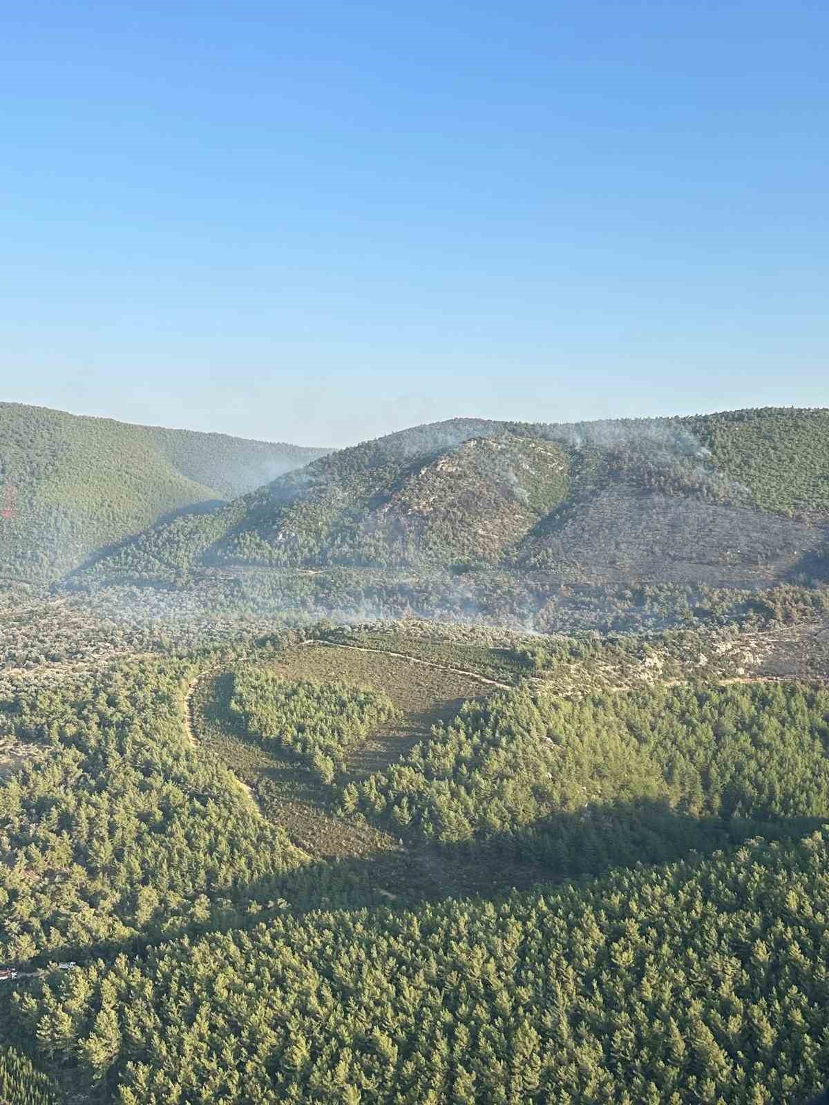 Bodrum’daki orman yangınında söndürme çalışmaları 7. saate girdi
