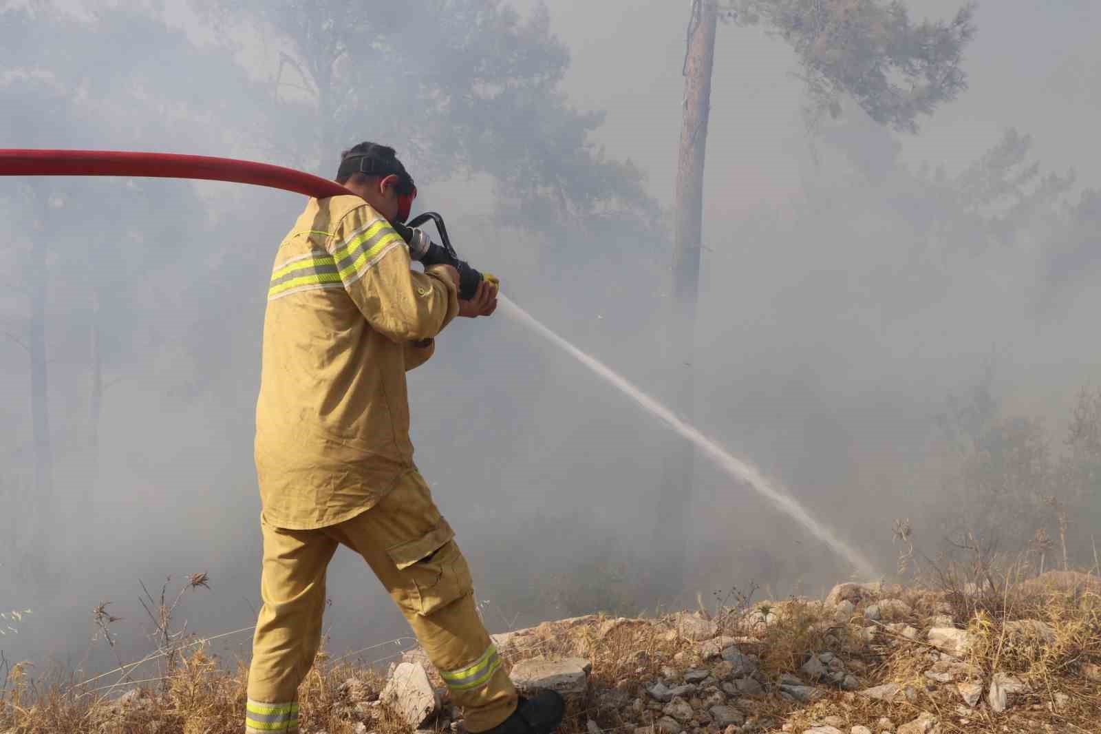 Bodrum’daki orman yangınında söndürme çalışmaları 7. saate girdi
