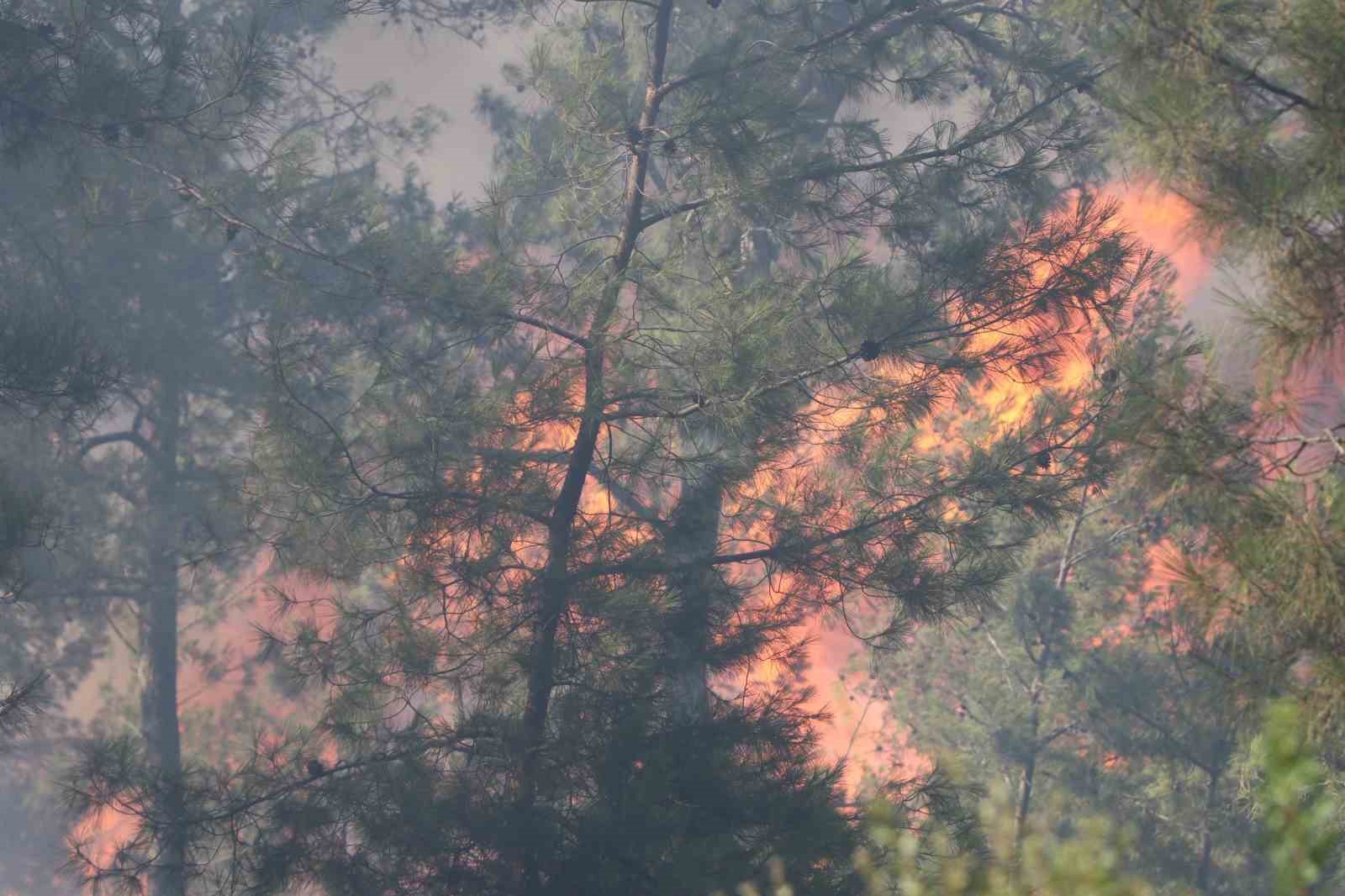 Bodrum’daki orman yangınında söndürme çalışmaları 7. saate girdi
