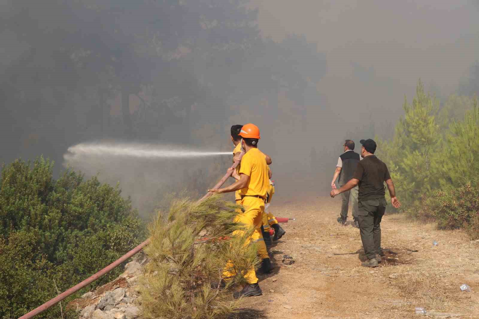 Bodrum’daki orman yangınında söndürme çalışmaları 7. saate girdi
