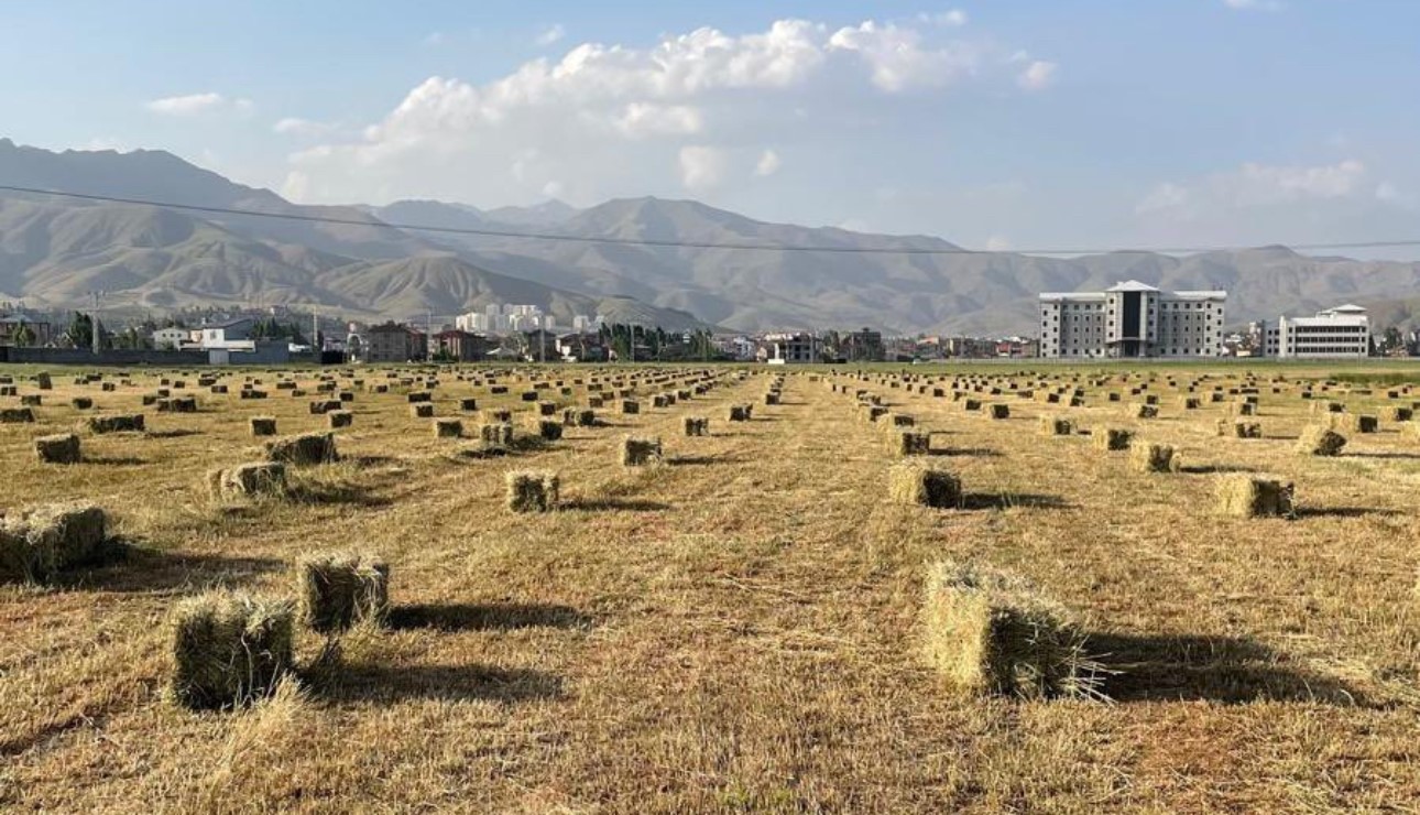 Yüksekova’da yağışlar tarımda verimliliği artırdı
