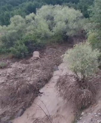 Tunceli’de yıldırım isabet eden 2 kişi yaralandı
