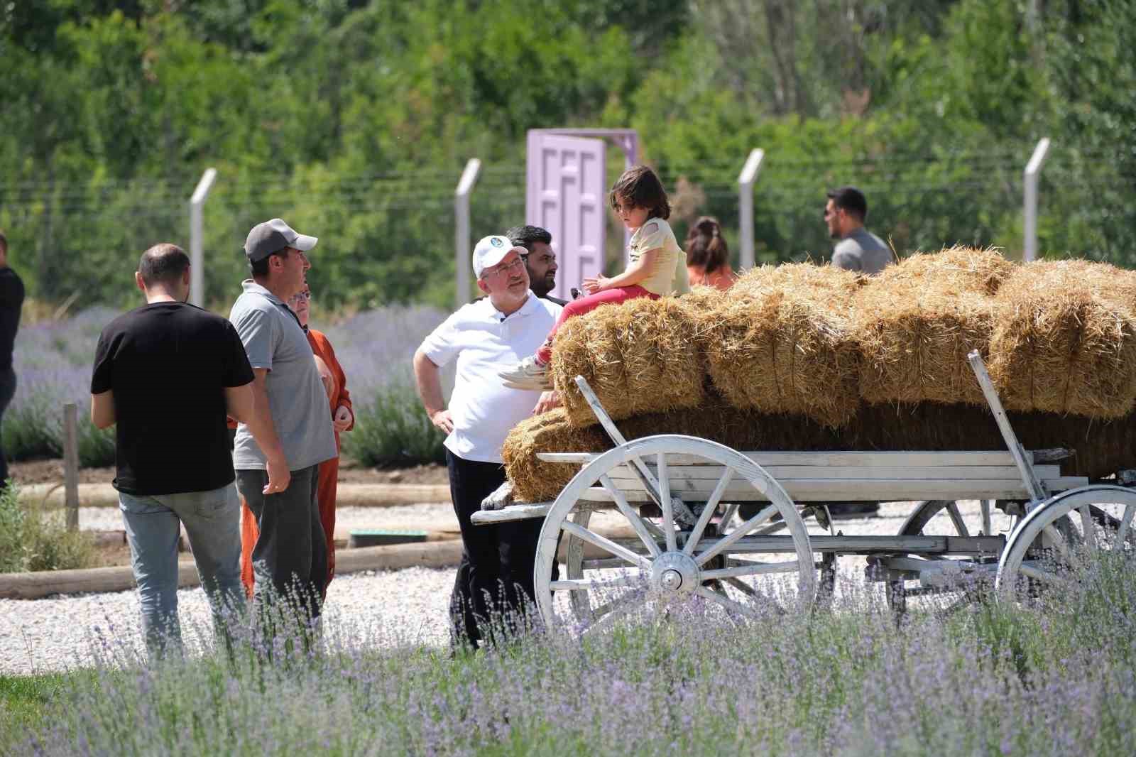 Lavanta bahçesi şehrin gözde mekanı oldu
