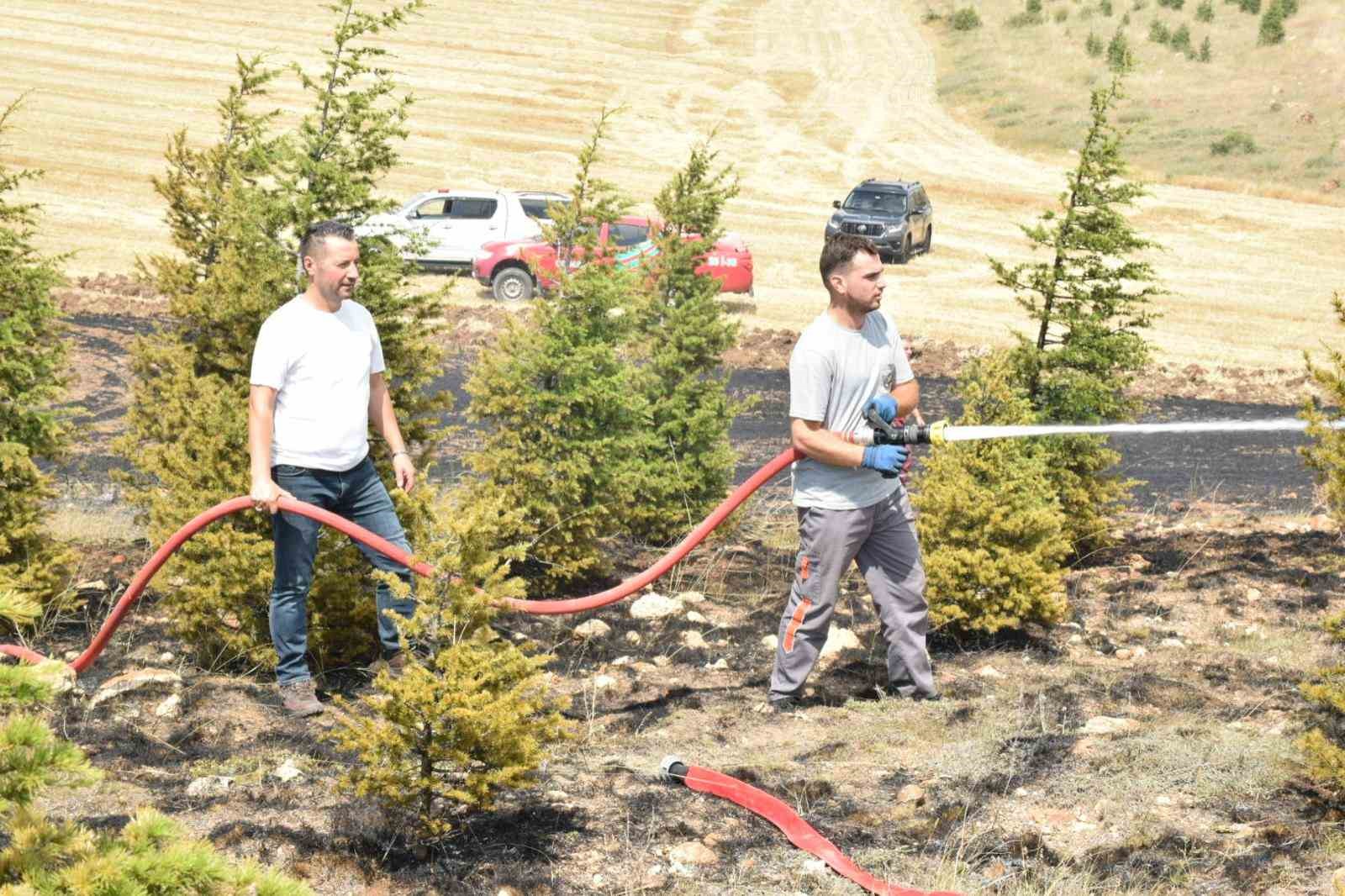 Ağaçlandırma sahasındaki yangın büyümeden söndürüldü
