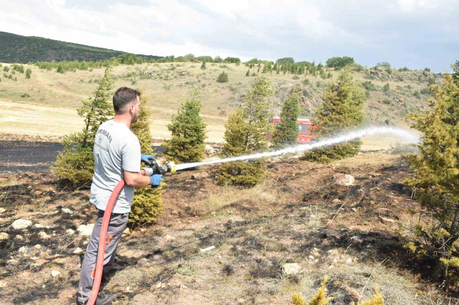 Ağaçlandırma sahasındaki yangın büyümeden söndürüldü
