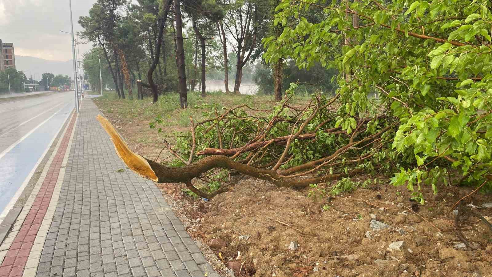 Nemin bunalttığı Kocaeli’de sağanak etkili oldu
