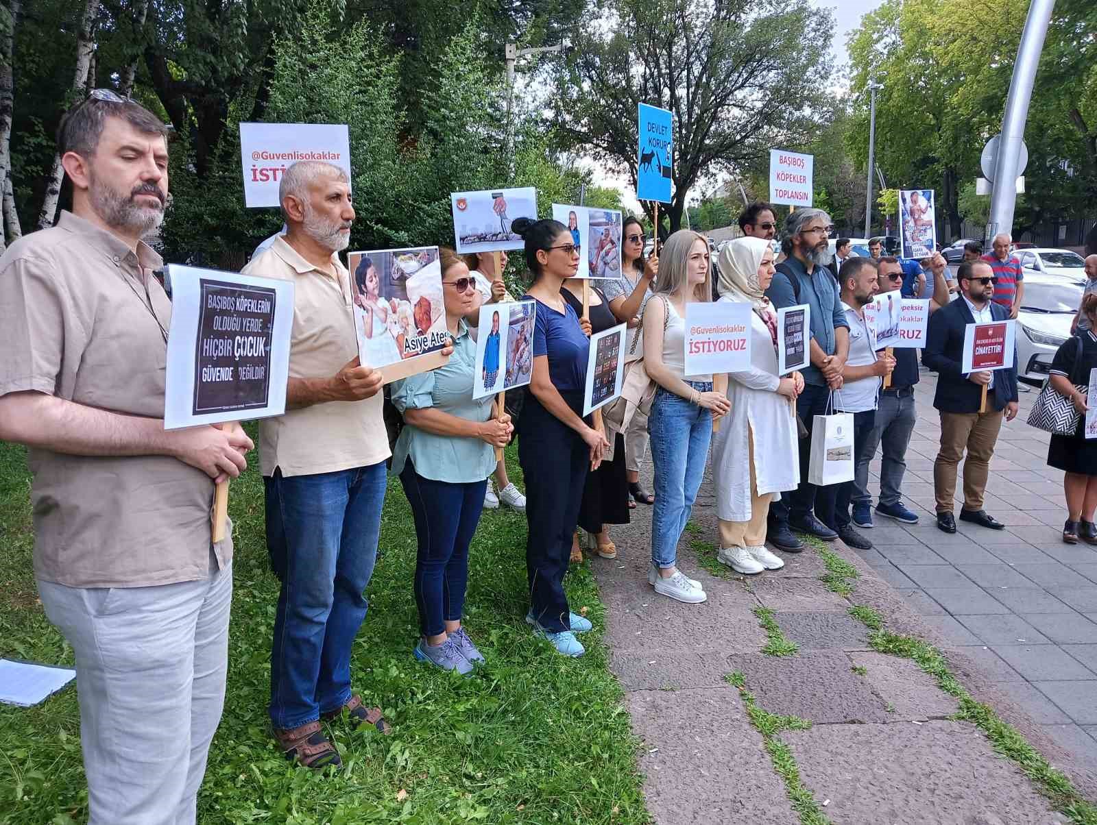 Sivil toplum kuruşlarından sahipsiz sokak hayvanları ile ilgili hazırlanan yasa tasarısına destek
