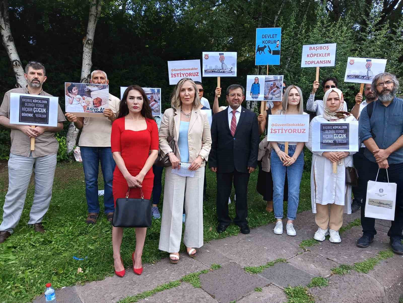 Sivil toplum kuruşlarından sahipsiz sokak hayvanları ile ilgili hazırlanan yasa tasarısına destek
