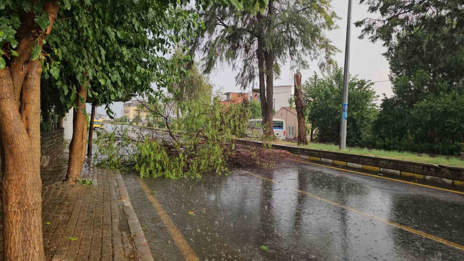 Aydın’da dolu ve sağanak etkili oldu
