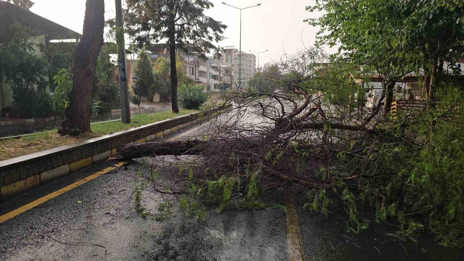 Aydın’da dolu ve sağanak etkili oldu
