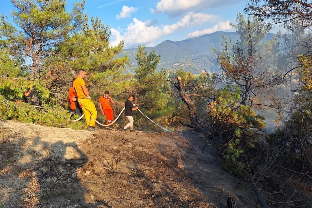 Bolu’da çıkan orman yangını büyümeden söndürüldü
