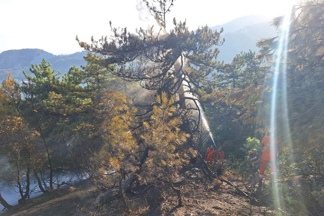 Bolu’da çıkan orman yangını büyümeden söndürüldü
