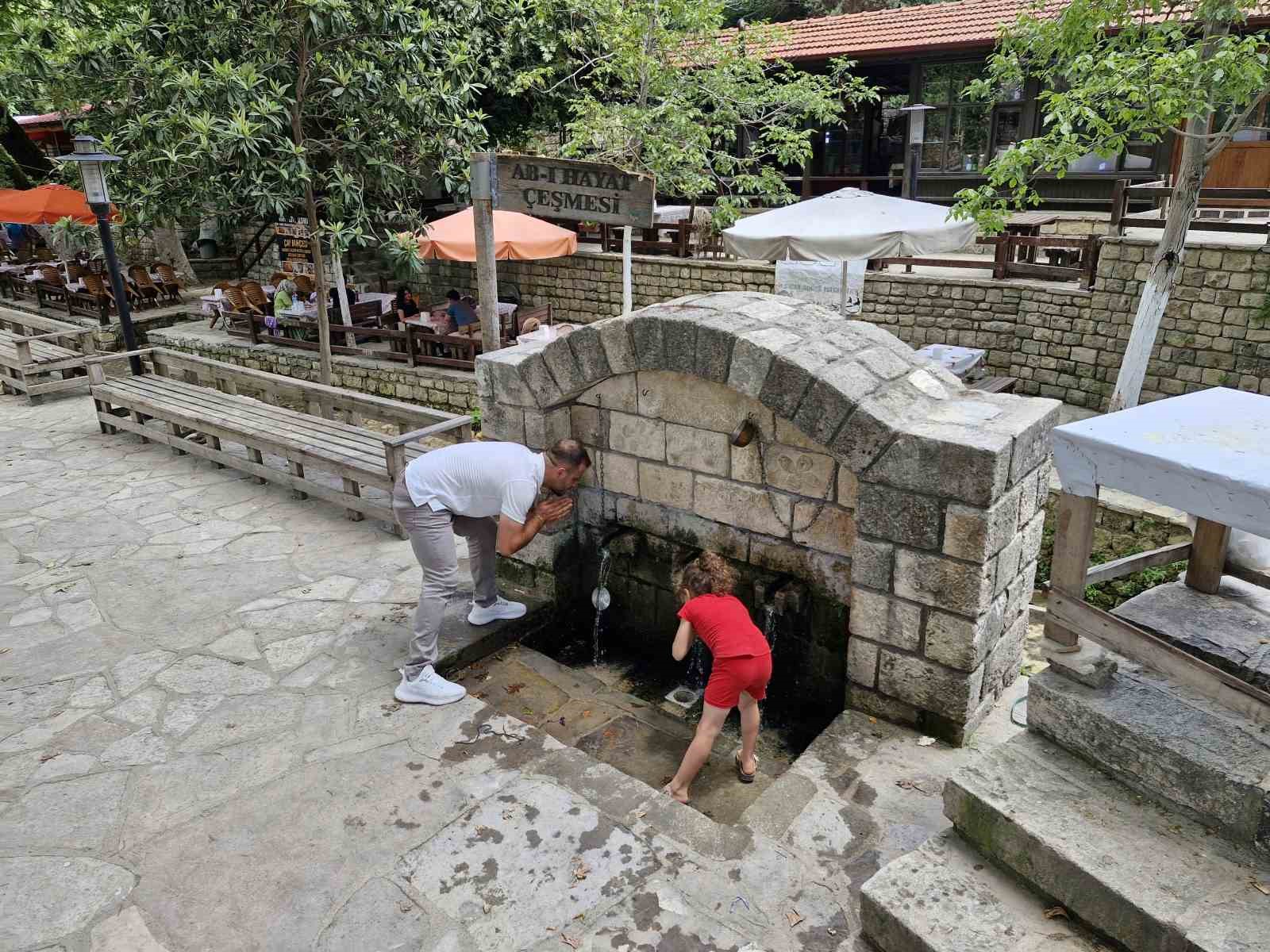 3 bin yıllık olduğuna inanılan abide çınar ağacı, dev cüssesiyle ilgi uyandırıyor
