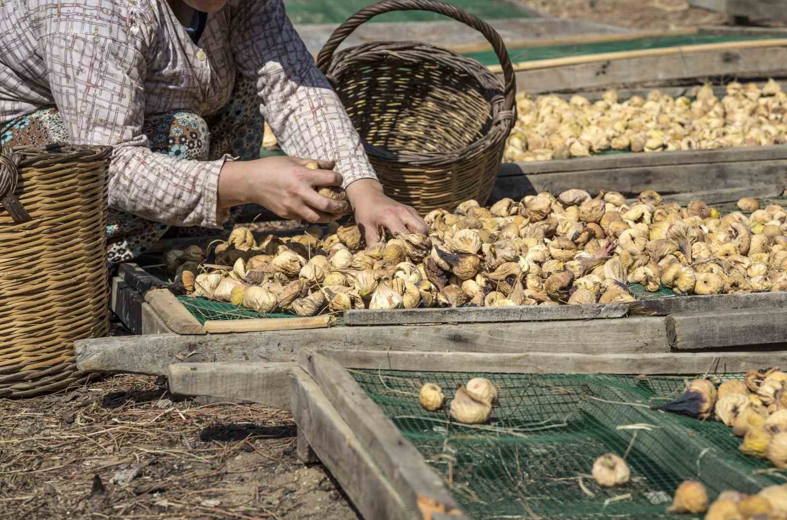 Kuru meyve ihracatı 829 milyon dolara yükseldi
