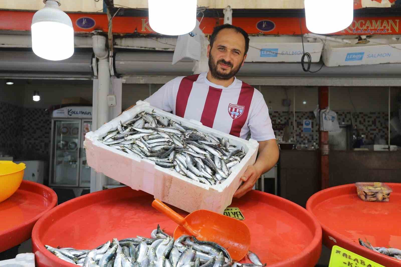 Bandırma’da sardalya bolluğu yaşanıyor
