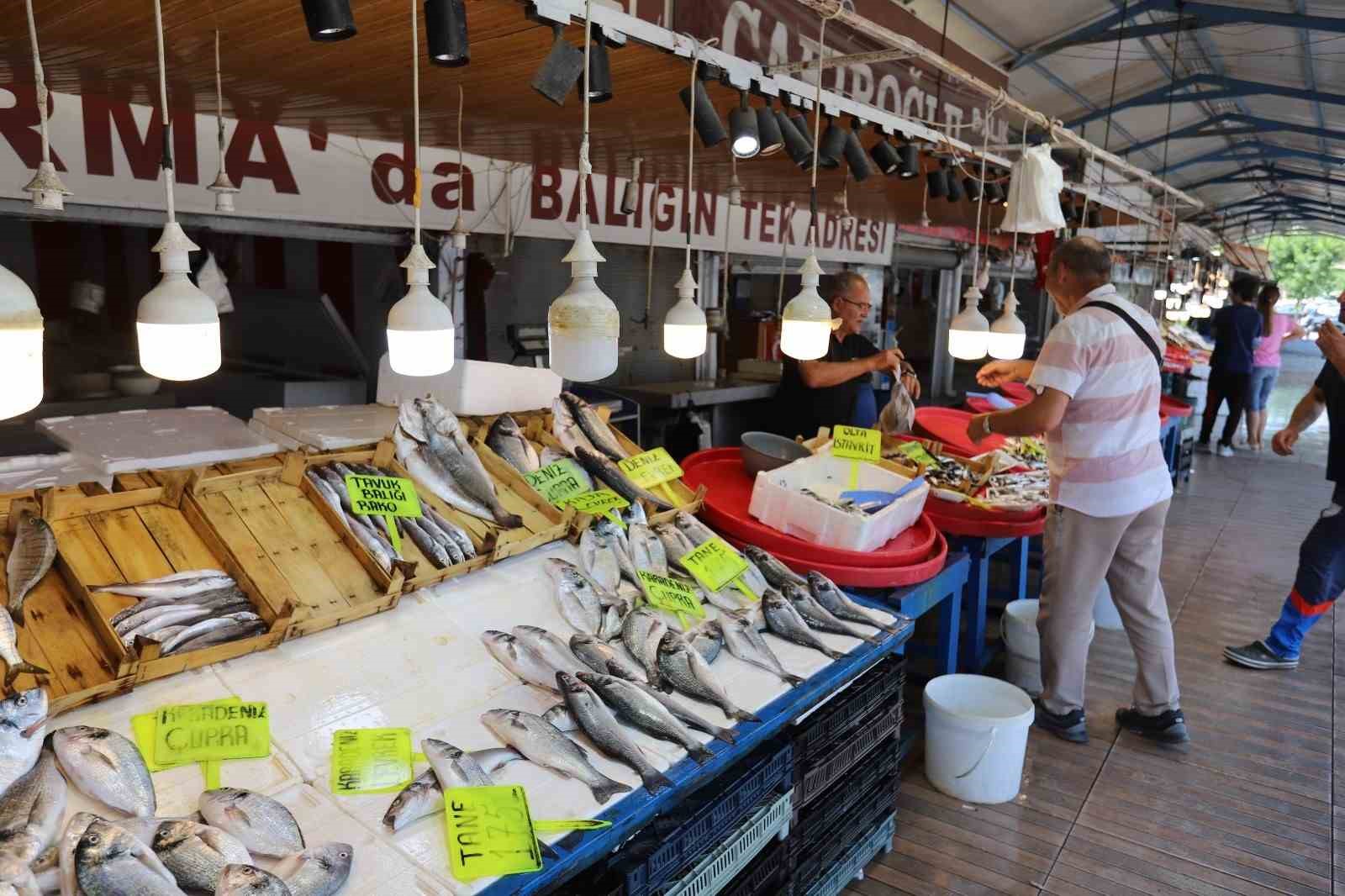 Bandırma’da sardalya bolluğu yaşanıyor
