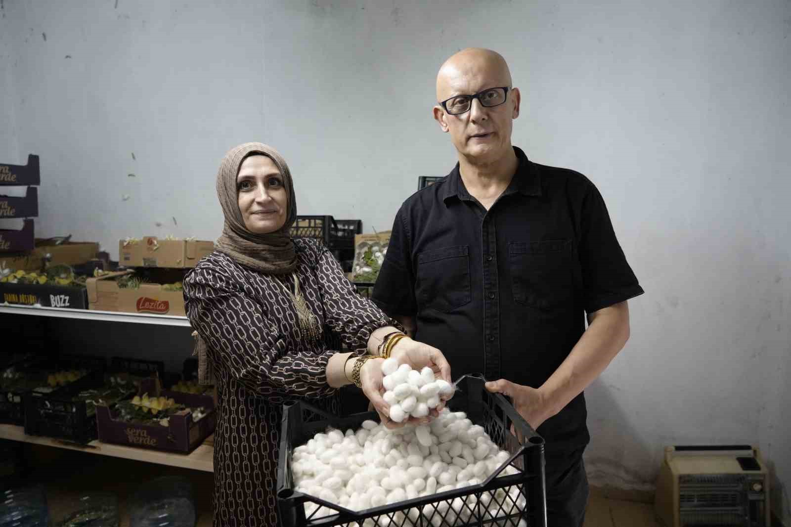 Gümüşhane’nin yabani dut yaprakları ipek böceklerinin verimini arttırdı
