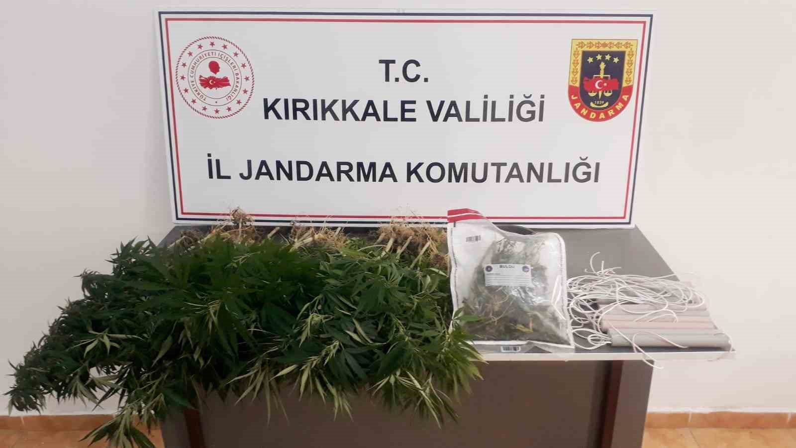 Jandarmadan kaçak kazı ve uyuşturucu operasyonu: 1 gözaltı
