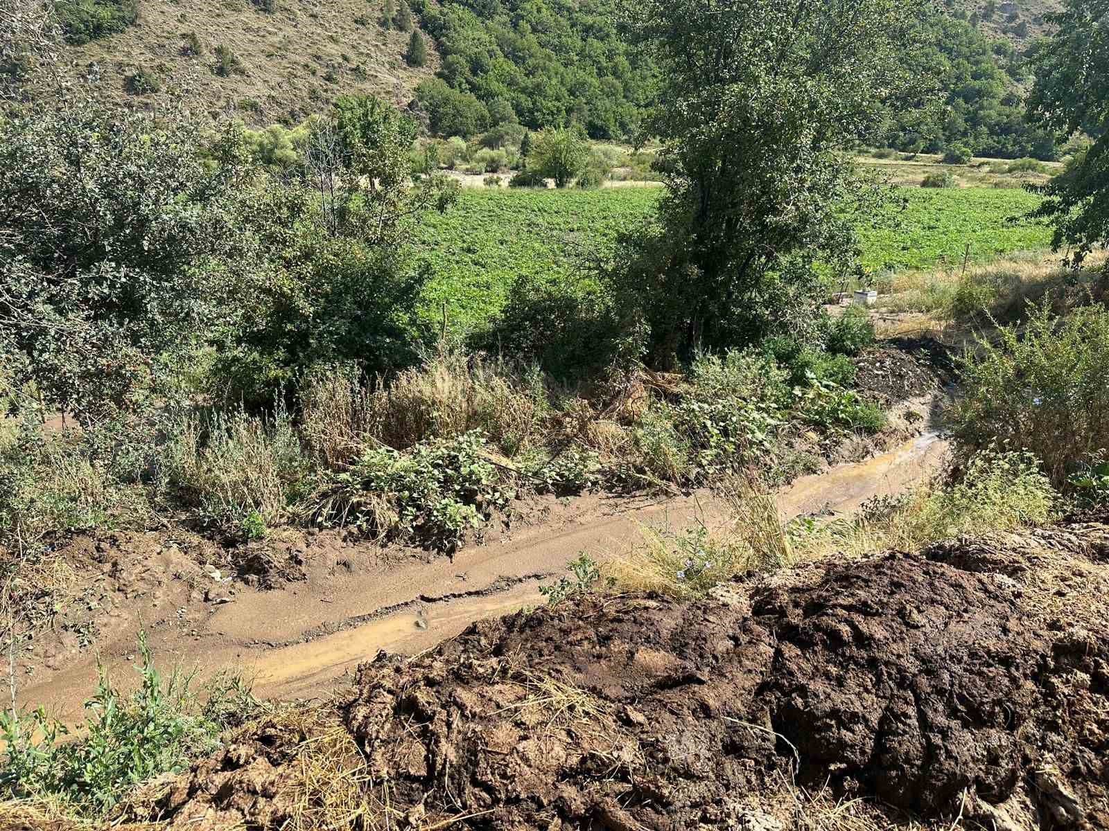 Tunceli’de dolu ve sağanak ekili alanlara zarar verdi
