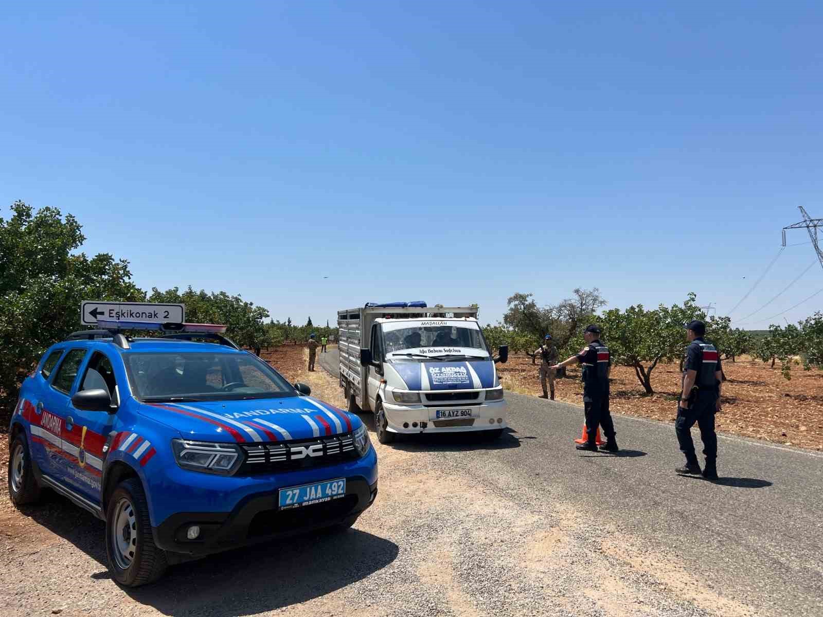 Jandarmadan “yeşil altın” nöbeti
