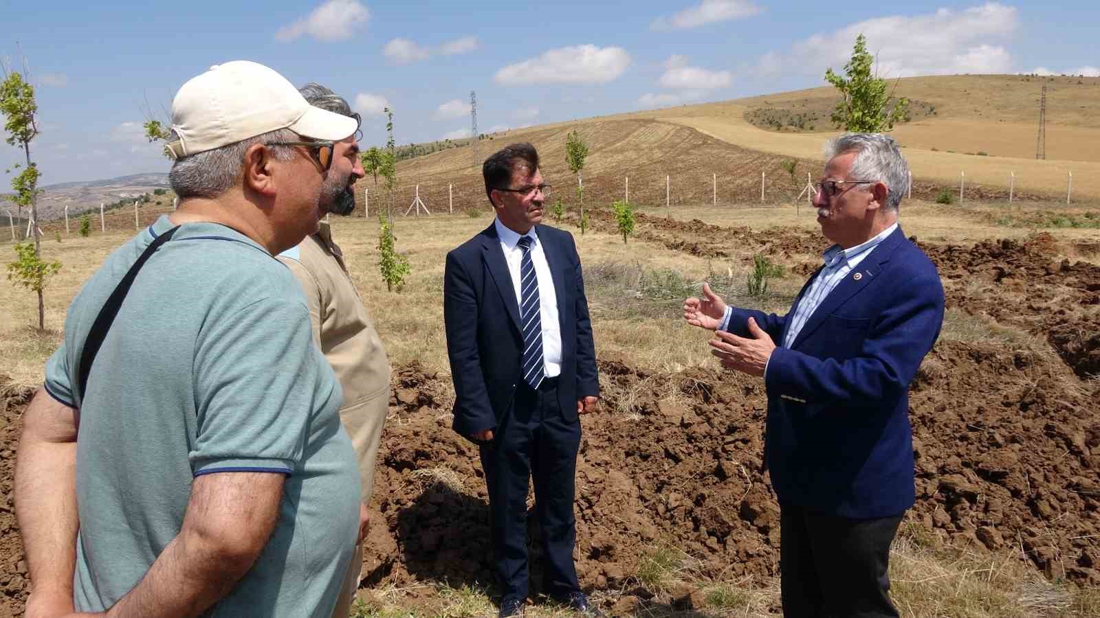 Yozgat’ta sokak hayvanları için 