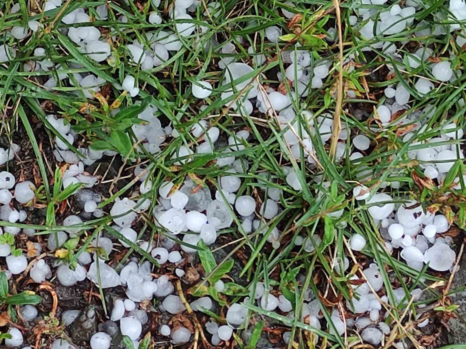 Ardahan’da sağanak ve dolu yağışı etkili oldu
