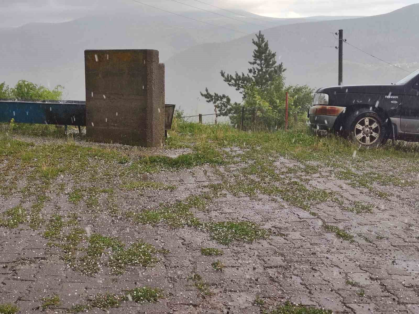 Ardahan’da sağanak ve dolu yağışı etkili oldu
