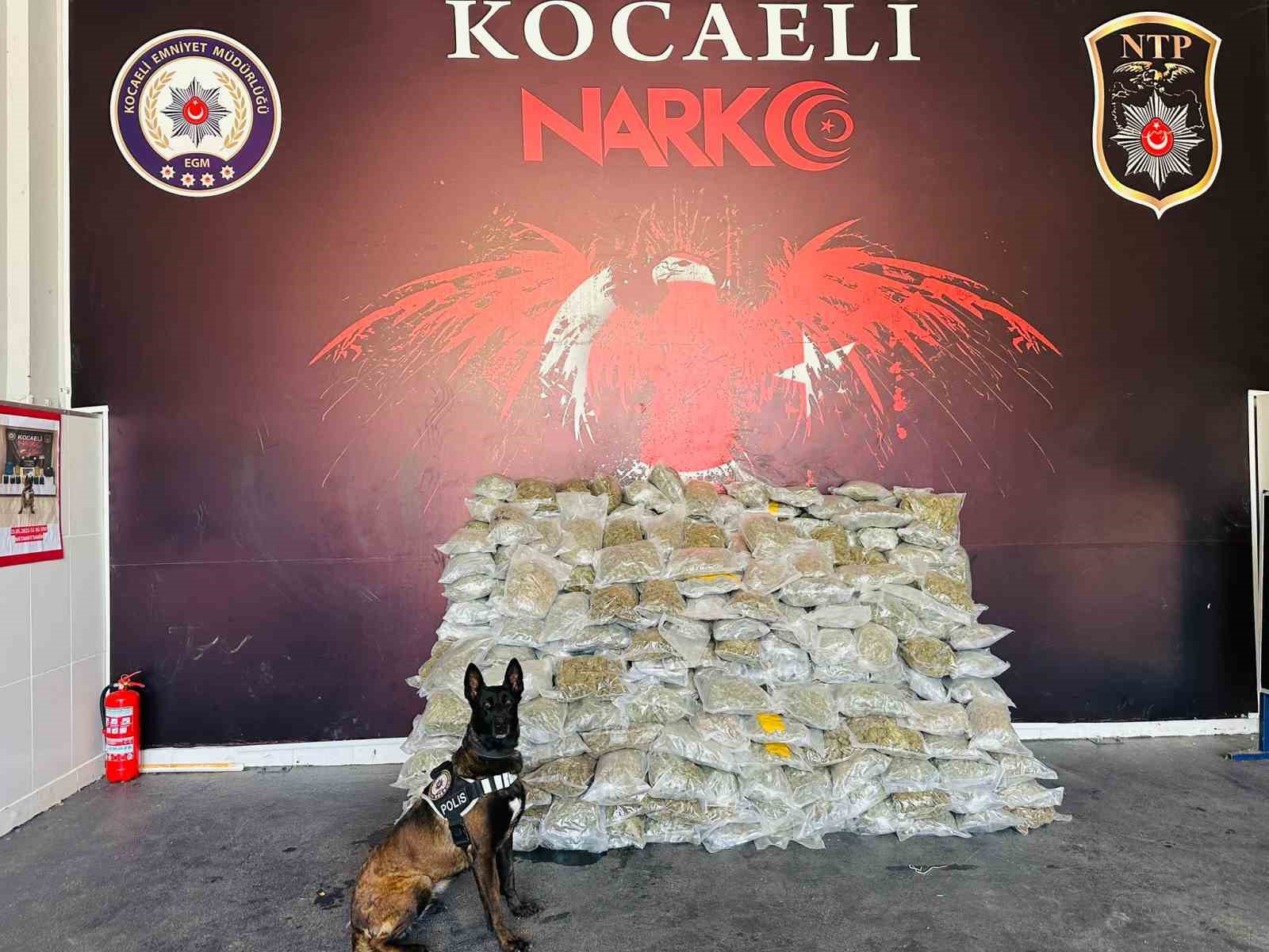 Kuzey Marmara’da büyük uyuşturucu operasyonu: 116 kilo skunk bakın nereden çıktı
