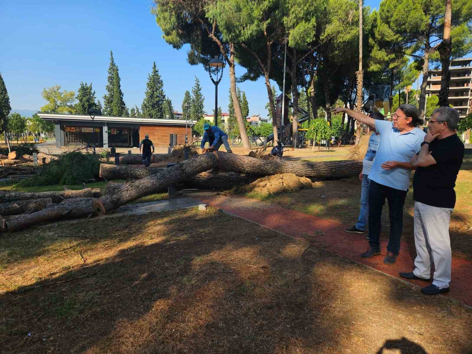 Başkan Tetik sahada vatandaşı yalnız bırakmadı
