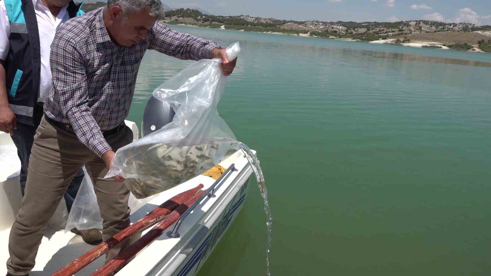 Denizli’deki göl ve göletlere 770 bin adet sazan yavrusu bırakıldı
