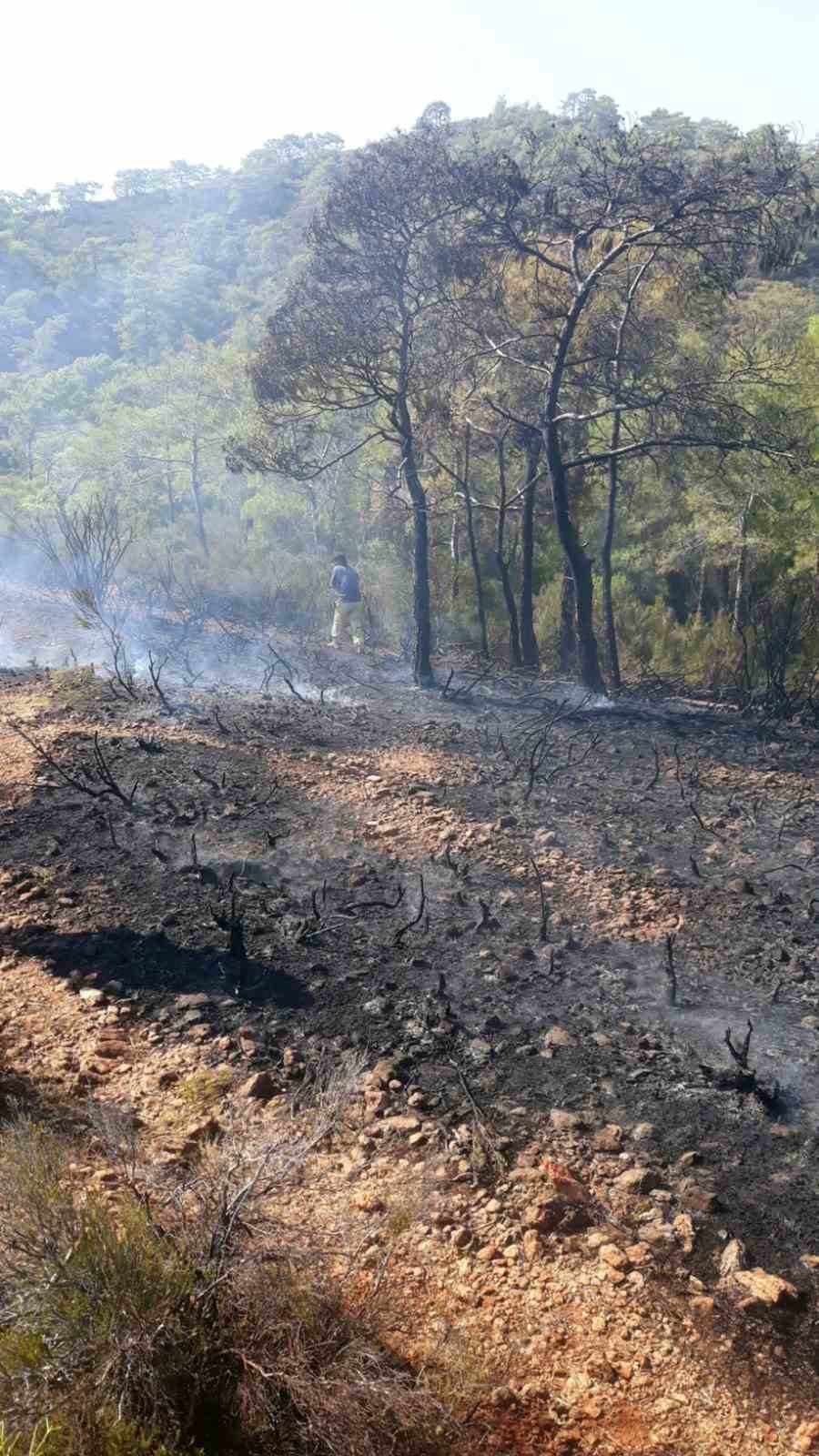 Ünlü koydaki yangın büyümeden söndürüldü
