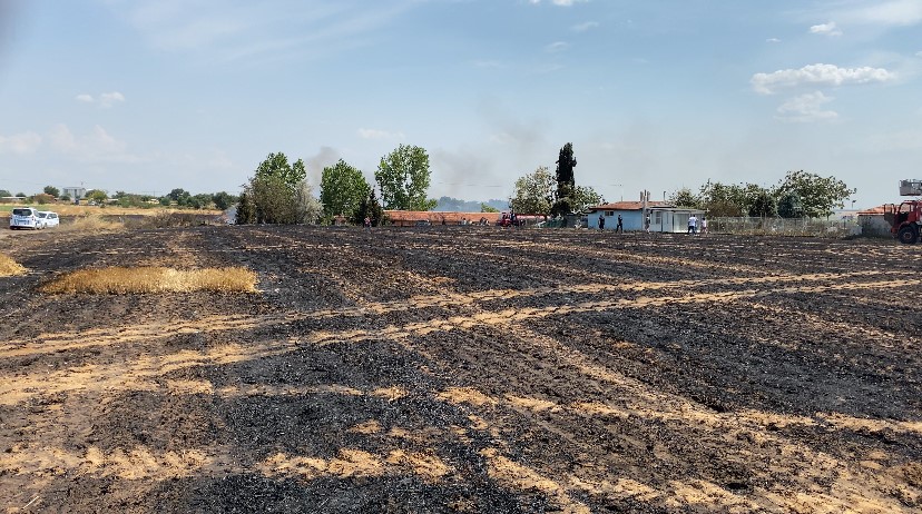 Edirne’de 500 dönüm arazi yangınla kül oldu
