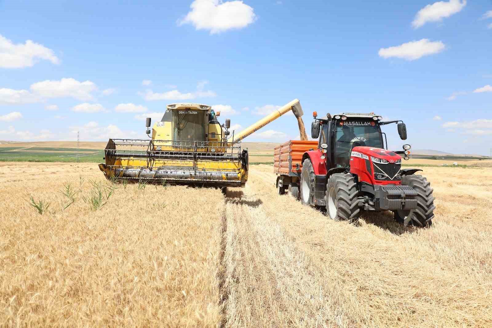 Alaca’da hasat dönemi başladı
