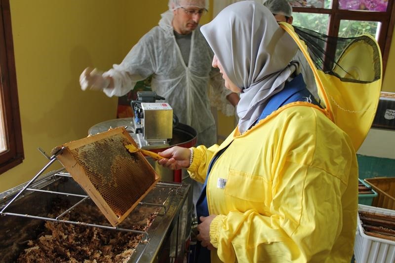 Kestane balı sağımı başladı
