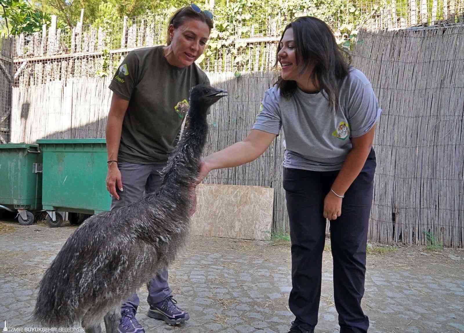 Kakadu papağanı ailesinin 15 yıl sonra ilk yavrusu dünyaya geldi
