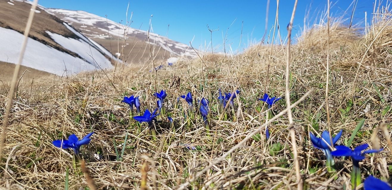 ’Dünyanın En İyi Turizm Köyü’ teklifi içinde, Bayburt’un Dumlu köyü yer aldı
