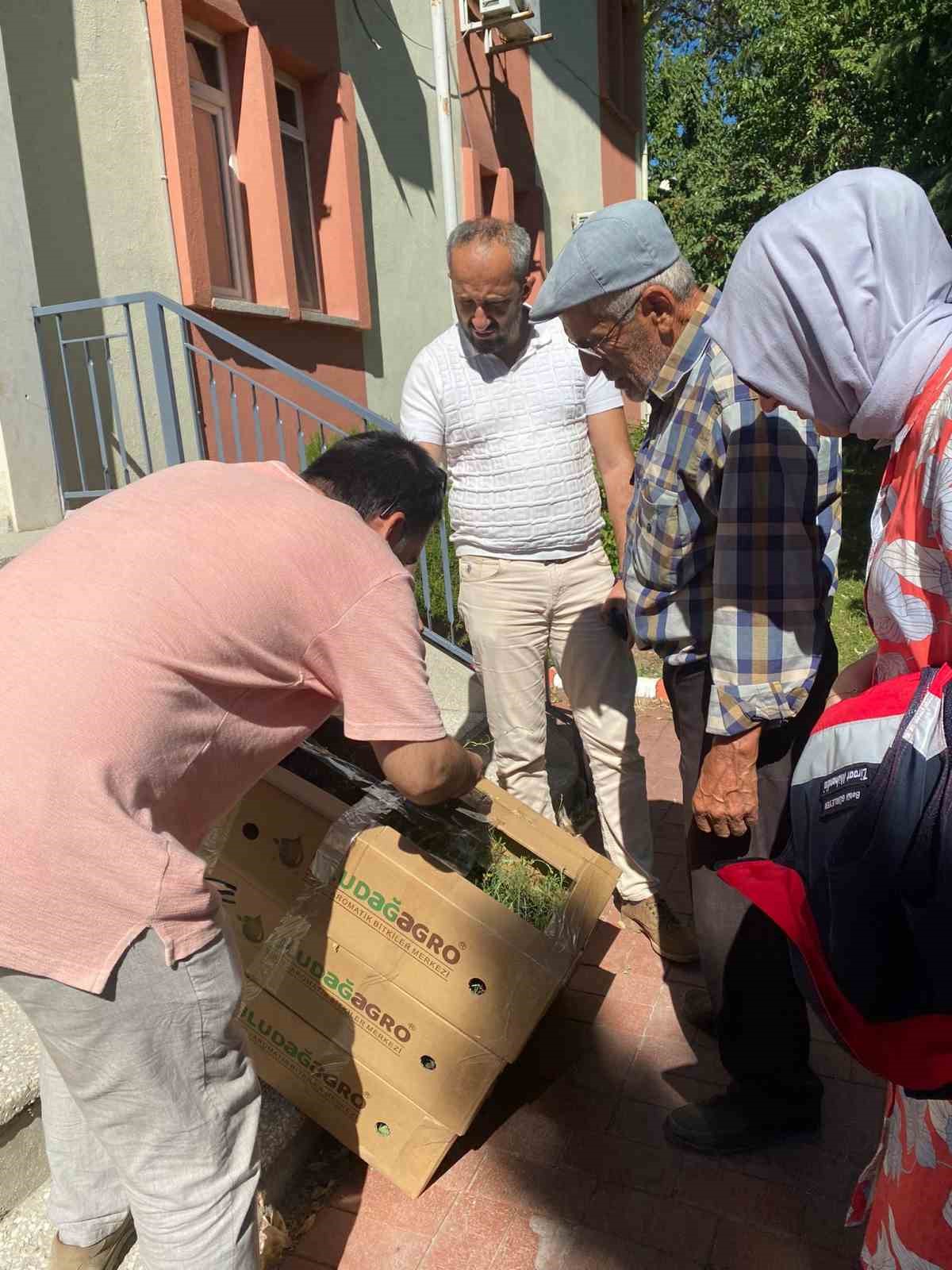 Tavşanlı’da ’Ölmez otu’ fide teslimi ve dikim işleri yapıldı
