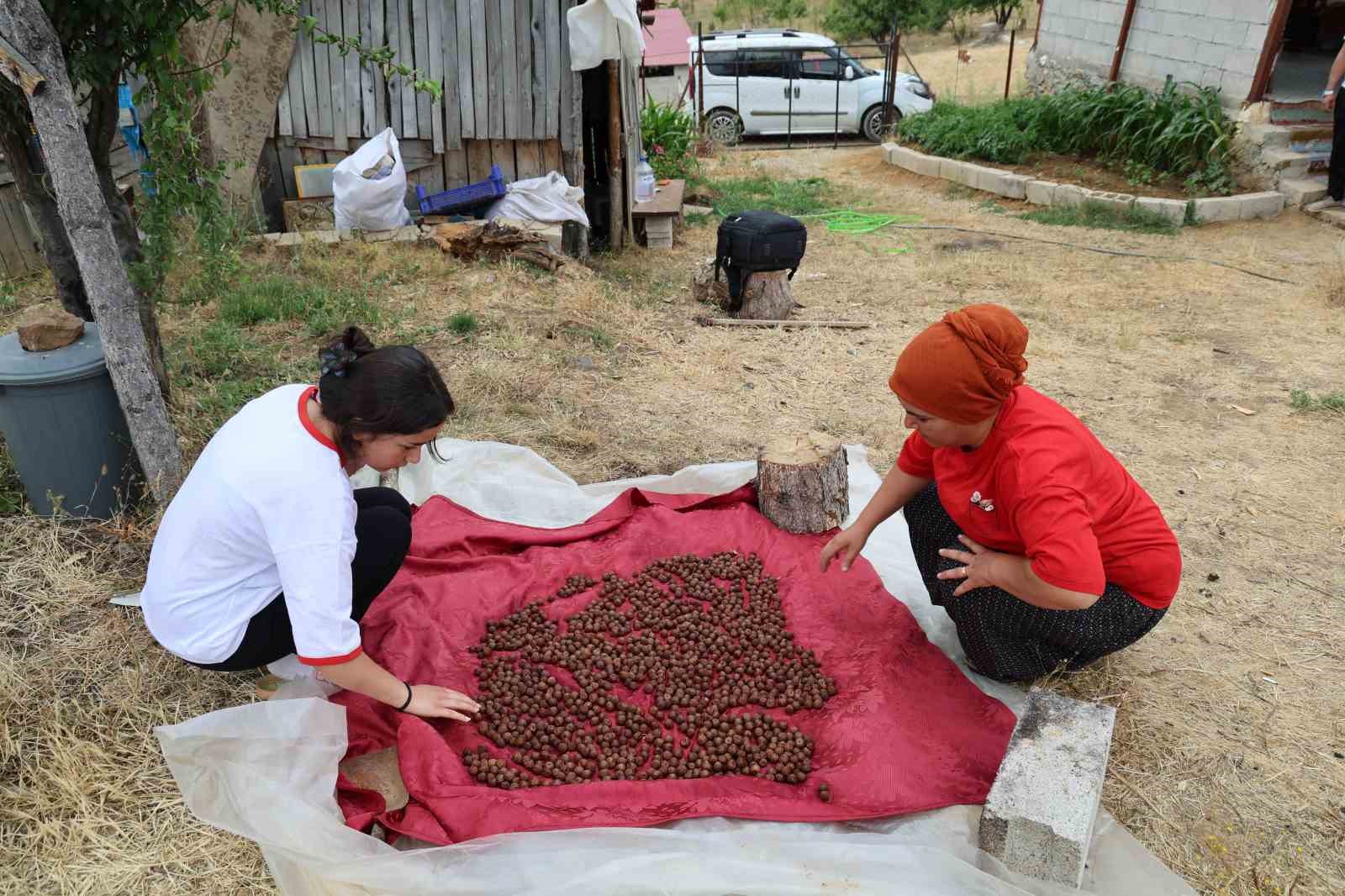 Çoban Zeynep LGS’de ilçe birincisi oldu
