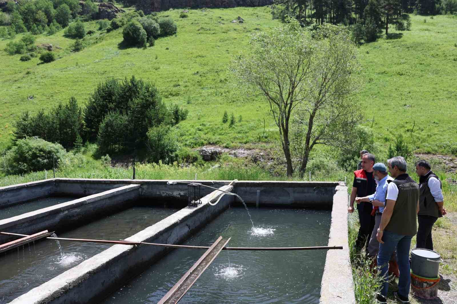 Sarıkamış’ta bir kişi alabalık yetiştiriciliği yapıyor
