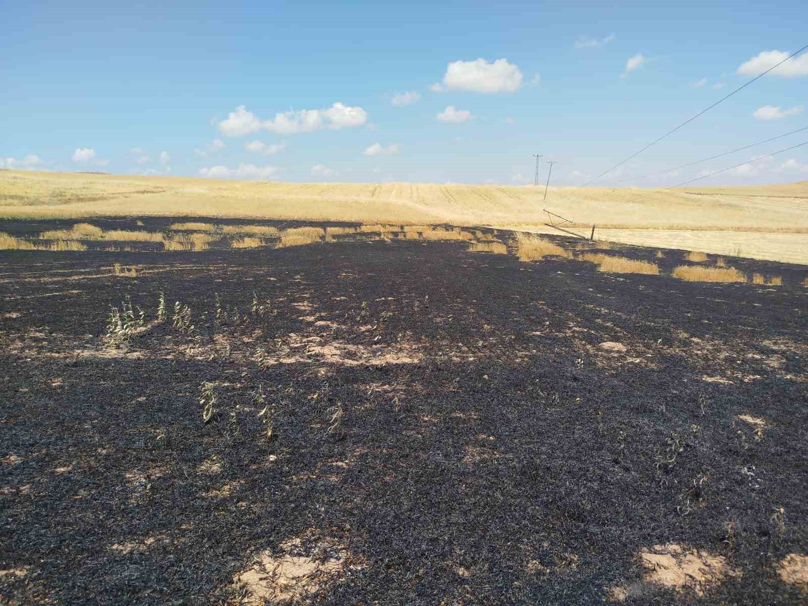 Çorum’da 15 hektar ekili arazi yangında kül oldu
