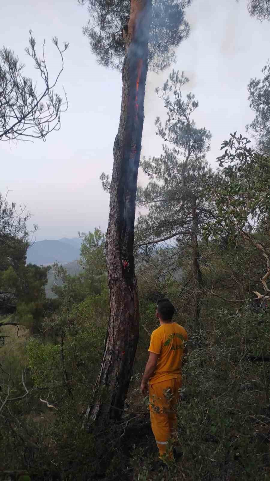 Yıldırımın neden olduğu yangın kısa sürede söndürüldü
