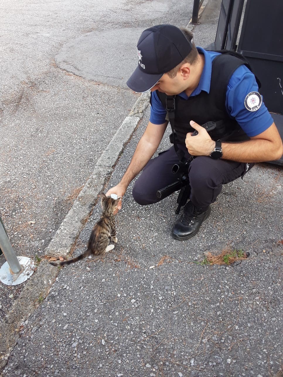 Yeni doğan kedi, polis merkezinin maskotu oldu
