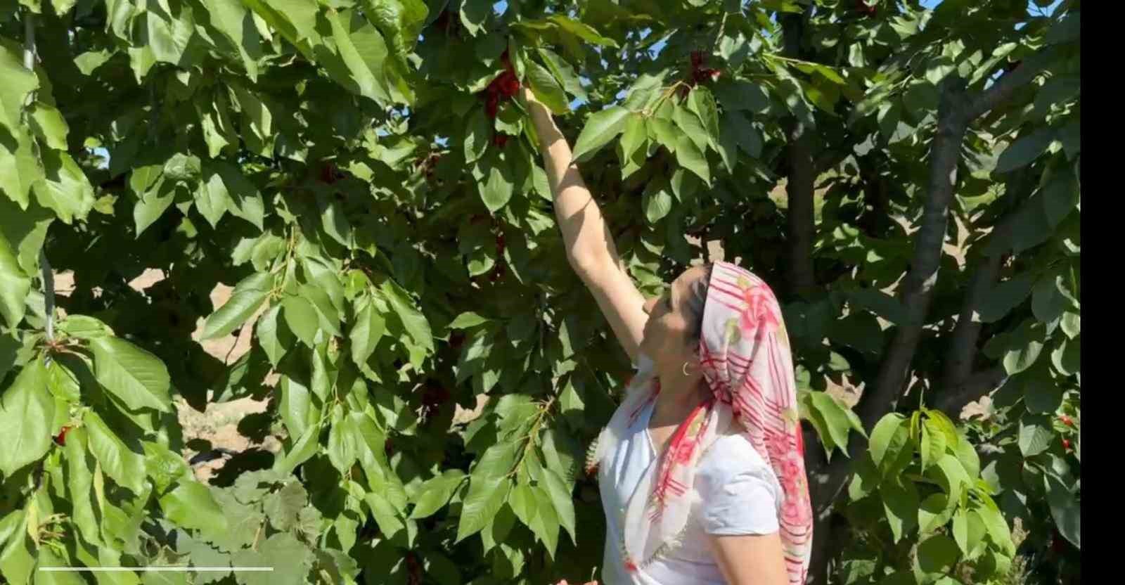 (Özel) Evinde anne, tarlada çiftçi, mağazada patron
