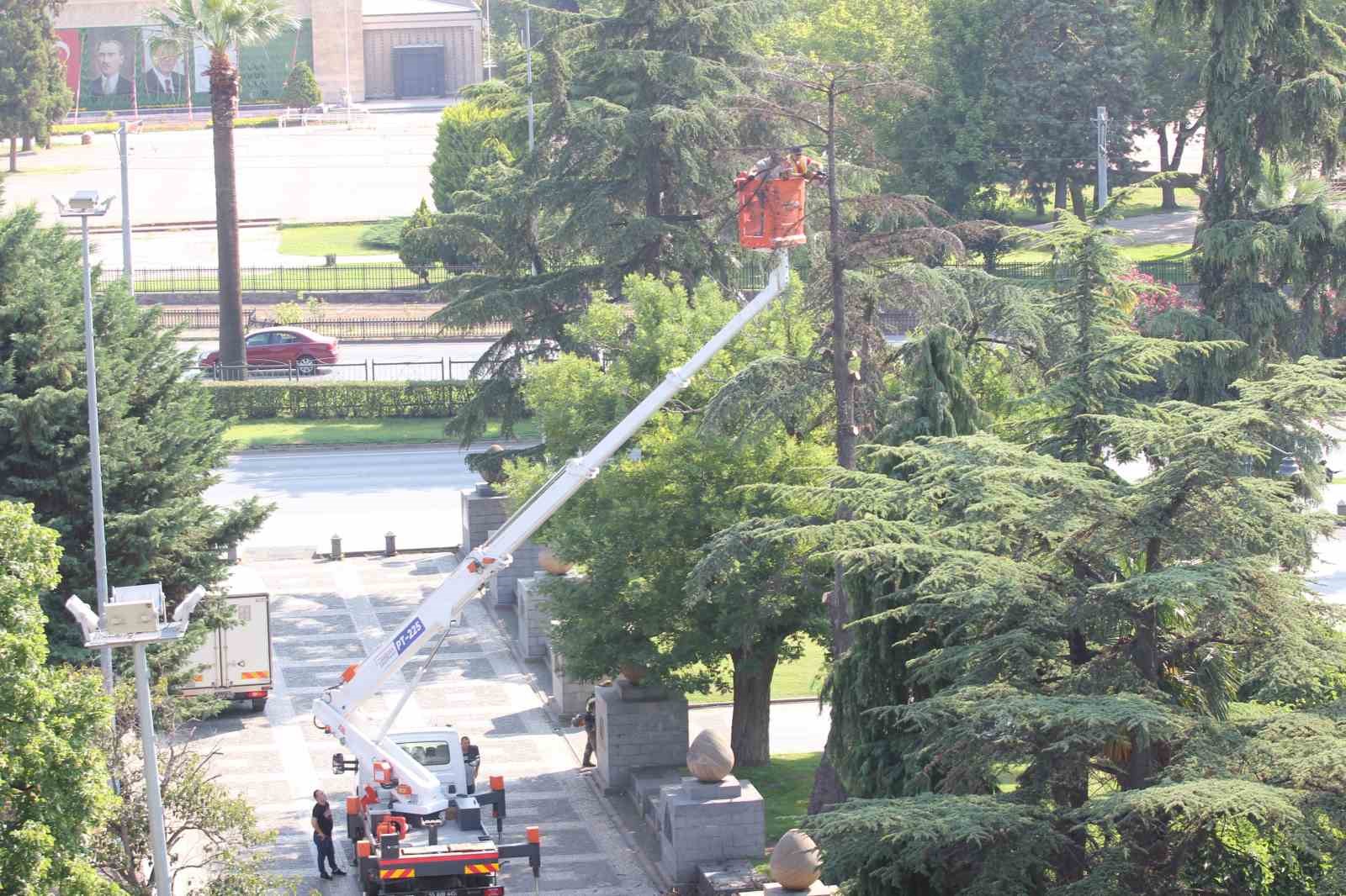 Anıtpark’ta kuruyan ağaçlar kesildi
