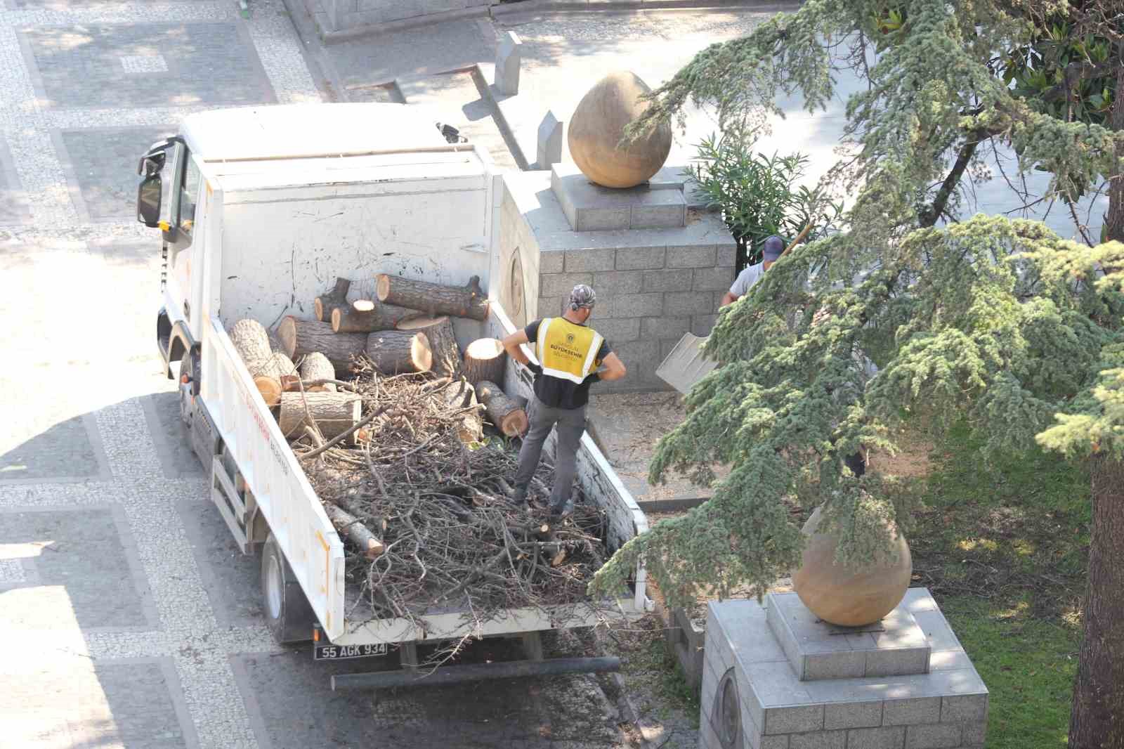 Anıtpark’ta kuruyan ağaçlar kesildi
