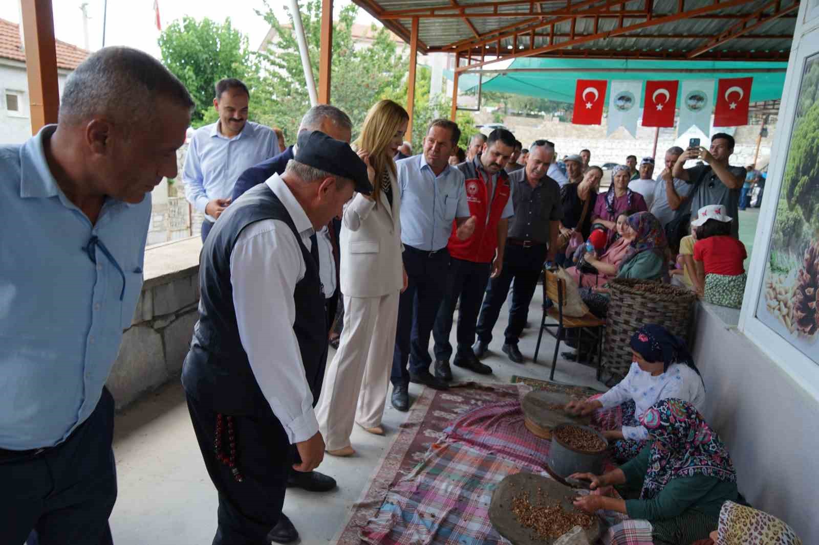 Muğla’da çam fıstığı paneli düzenlendi
